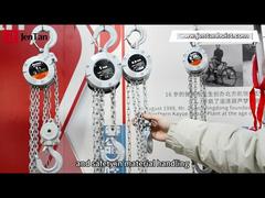 Introduce Aluminum Light Weight 1/4 Ton Mini Chain Hoist Block Light Duty For Construction For You