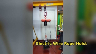 UL Certified SinglUL Certified Emergency Stop 2500KG European Hoist 500kg 6M Lift Customizable Quali