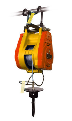 Un bon prix. Mini monture de treuil électrique de 500 kg avec moteur sans balai en ligne