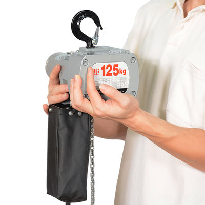 Heavy Duty Electric Chain Hoist with 1t Standard Capacity 50-60 Hz Supply Power 2m/M5 Working Grade